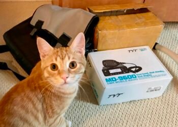 Cat watching the TYT MD-9600 radio box during EvoHam’s how we test and review products process