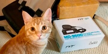 Cat watching the TYT MD-9600 radio box during EvoHam’s how we test and review products process